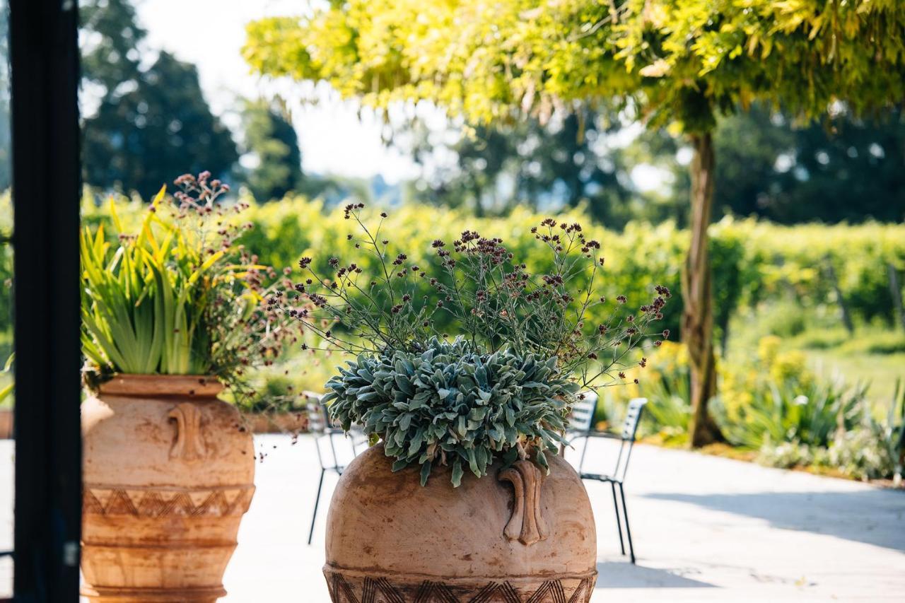 Villa Dimora Buglioni Wine Relais San Pietro in Cariano Exterior foto